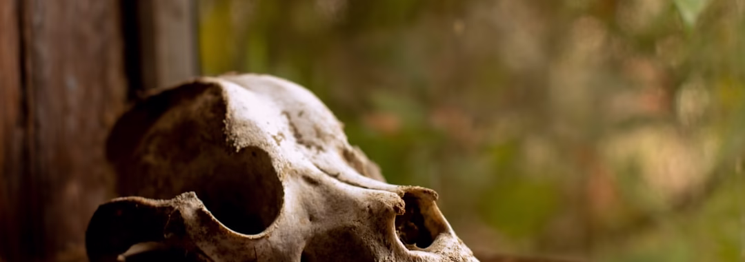 親人離世：生死哲學的五課